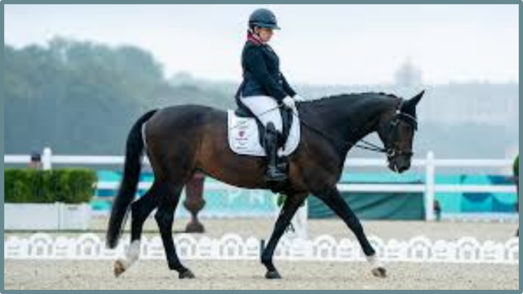 Discover the Top Paralympic Equestrian Riders Competing in the Paris 2024 Games