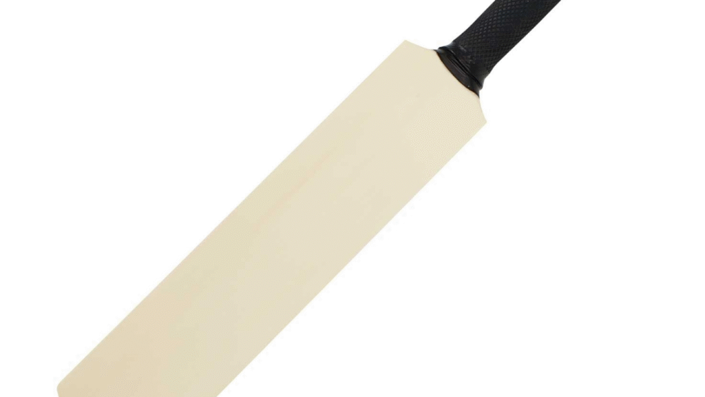 Complete Guide to cricket bat