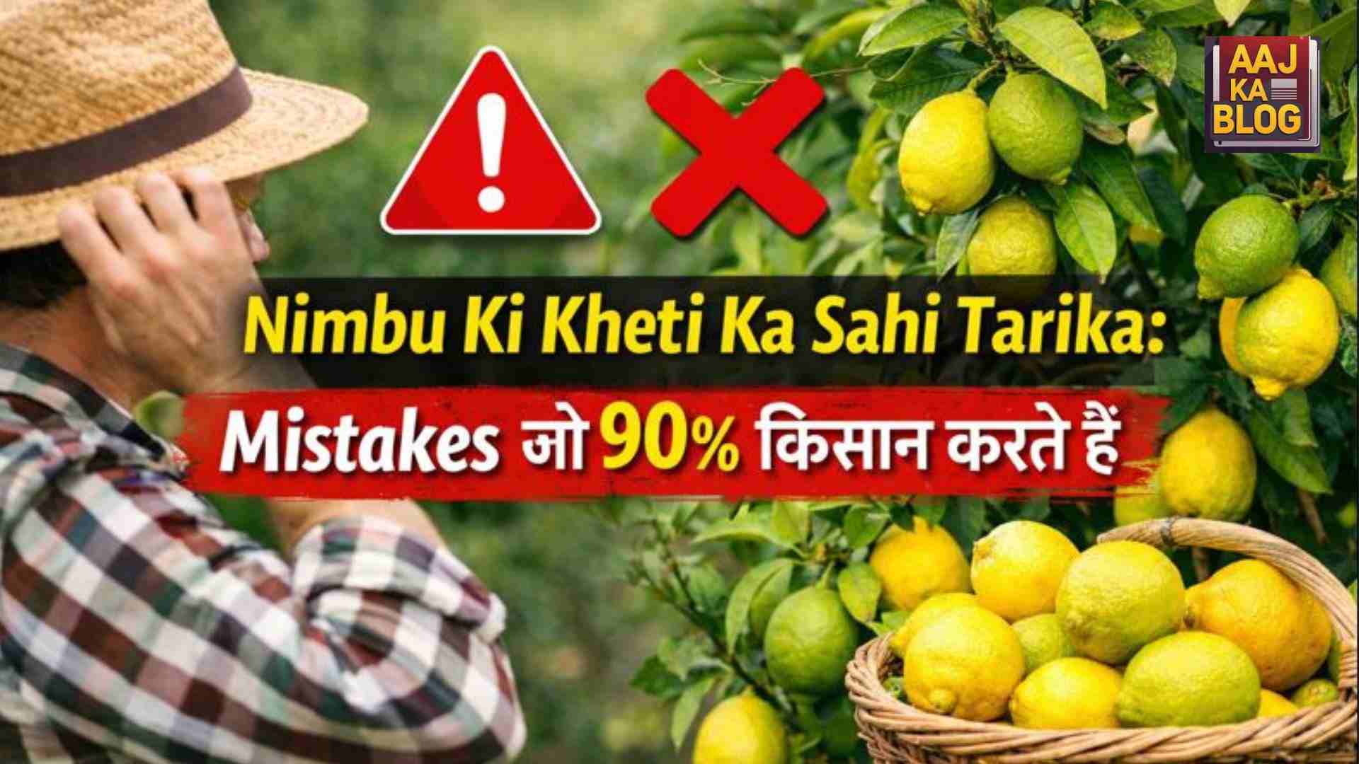 Nimbu Ki Kheti Ka Sahi Tarika